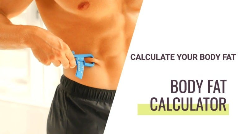 Body Fat Calculator - Estimate Your Body Fat Percentage