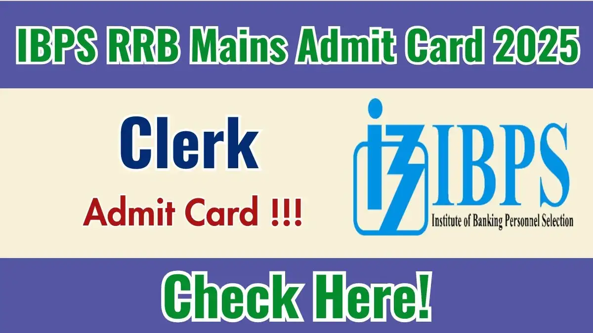 IBPS RRB Clerk Mains Admit Card 2025 - Apply Now